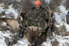 Lawrence's Bull