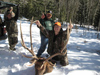 Nolan's Bull