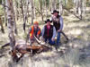 Loco Mtn: Jimmy's 2008 Loco Bull