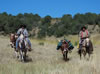 Loco Mtn: Roger and Chas packing out a 2007 6x6 Bull