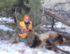 Joel's 2011 Bull