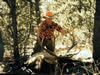 Loco Mtn: Paul's Loco Mtn Bull